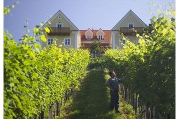 Pensiune familială Tiefenbach bei Kaindorf 2